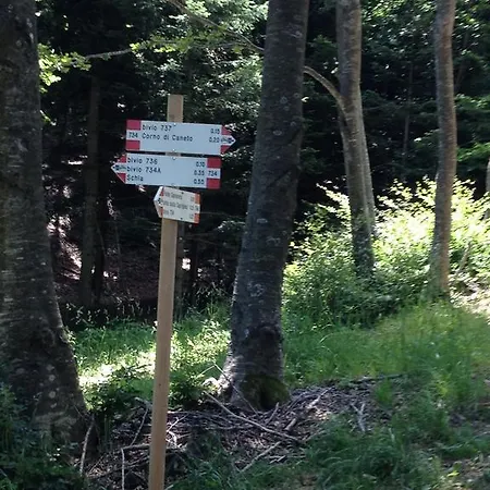 Campsite Campeggio Di Schia